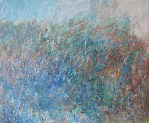 Wiese, 54x65cm, 2008